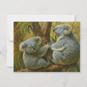 Cartão Postal Companheiros Koala - Par Real da Vida Selvagem