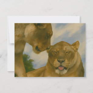 Cartão Postal Companhia da Lioness na Luz do Ouro