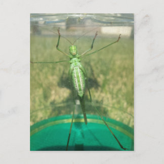 Cartão Postal Comprar 1 - brainfarte educado