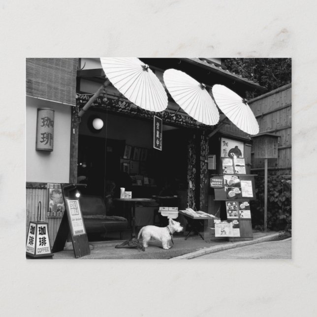 Cartão Postal Compro Umbrella japonês (Frente)