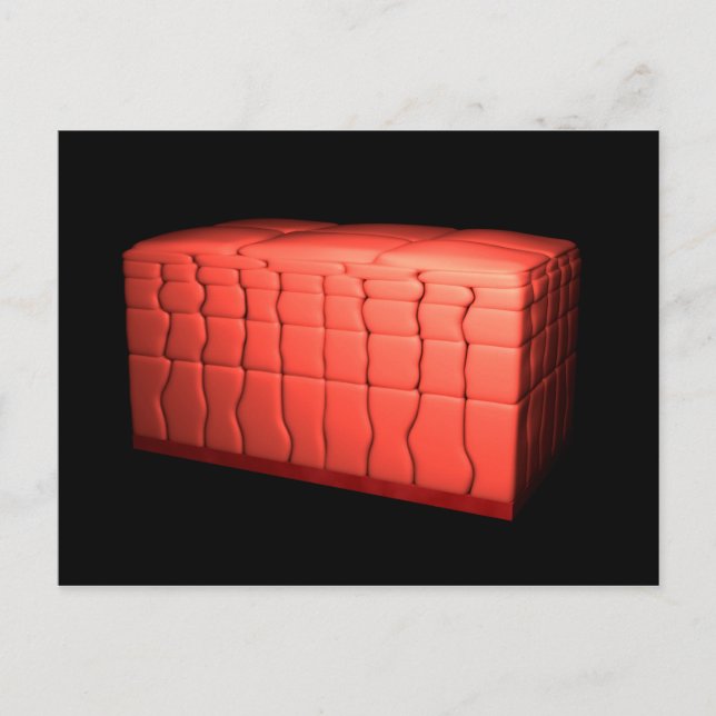 Cartão Postal Conceito De Epithélio Escamoso Estratificado 1 (Frente)