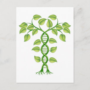 Cartão Postal conceito de planta de DNA