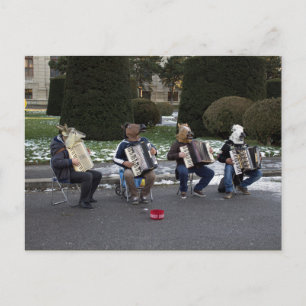 Cartão Postal concerto de animais