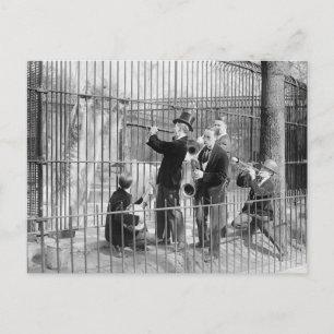 Cartão Postal Concerto Para Ursos Polares, 1925
