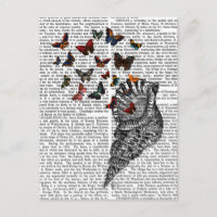 Conch Shell e Borboletas 2