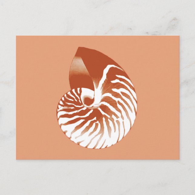 Cartão Postal Concha de Nautilus - terracota e branco (Frente)