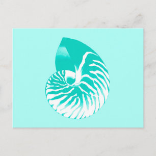 Cartão Postal Concha de Nautilus - turquesa, aqua e branco
