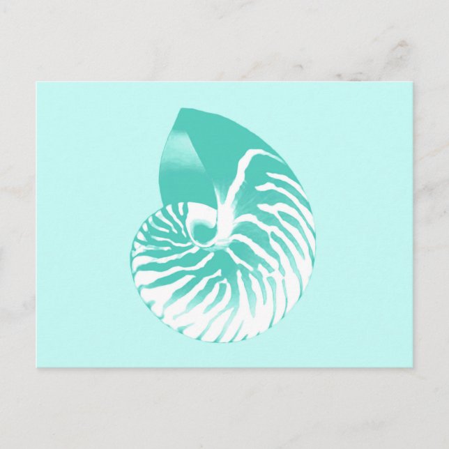 Cartão Postal Concha de Nautilus - turquesa, aqua e branco (Frente)