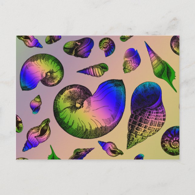 Cartão Postal Conchas de moluscos (Frente)