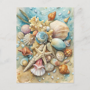 Cartão Postal Conchas de Praia Costeira Estrela-do-Mar Arte em A