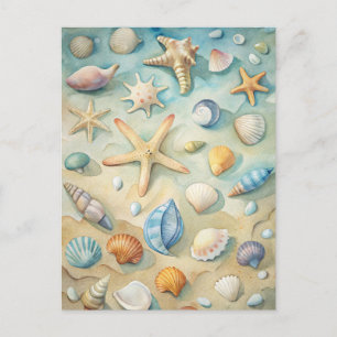 Cartão Postal Conchas Estrela-do-Mar Arte Náutico de Praia Coste