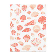 Conchas Marinhas Bonito Litoral