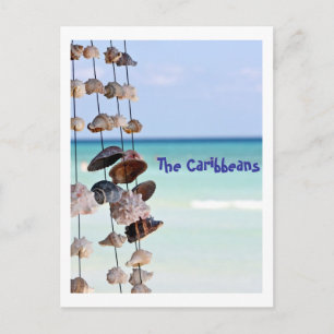 Cartão Postal conchas no fundo do mar