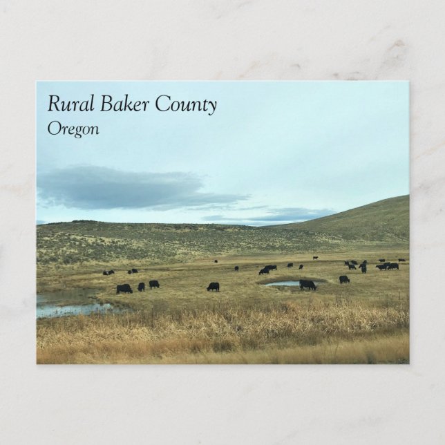 Cartão Postal Condado de Baker Rural, Oregon (Frente)