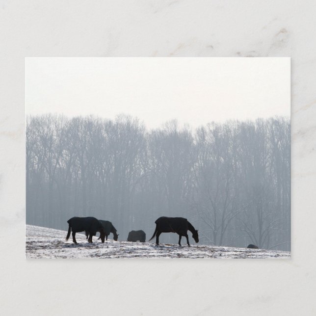 Cartão Postal Condado de Chester, Pa (Frente)