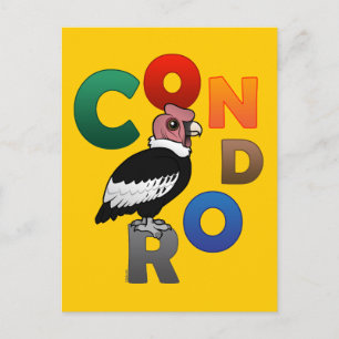 Cartão Postal Condor Colorido