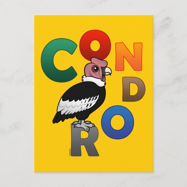 Cartão Postal Condor Colorido (Frente)