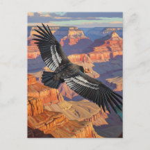 Condor no Parque Nacional do Grand Canyon