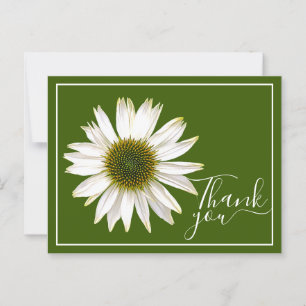 Cartão Postal Coneflower Branco Fundo Verde Obrigado