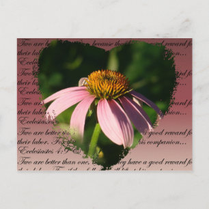 Cartão Postal Coneflower com verso de amizade