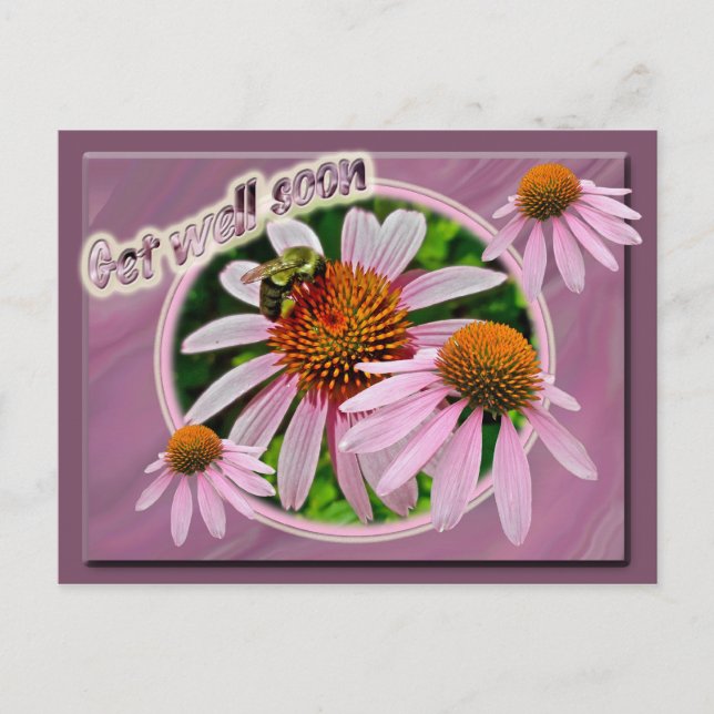 Cartão Postal Coneflower, fique bem logo (Frente)