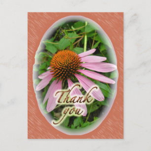 Cartão Postal Coneflower Obrigado Itens Coordenados