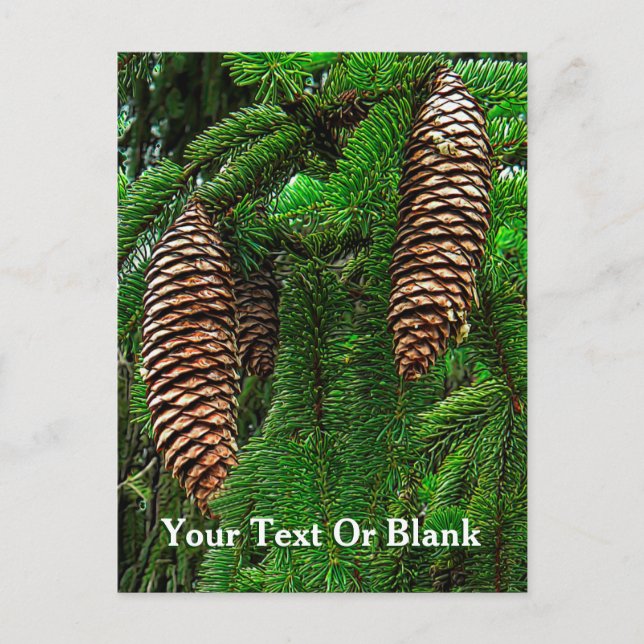 Cartão Postal Cones E Agulhas (Frente)