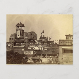 Cartão Postal Coney Island, Elephant Colossus, Vintage View