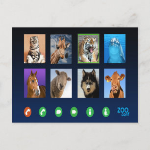 Cartão Postal Conferência de Vídeo Animal