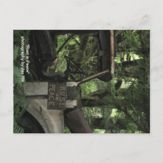 Cartão Postal Confiança Em Paz