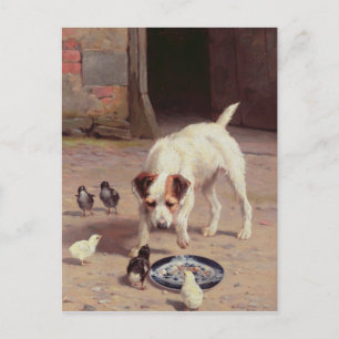 Cartão Postal Confrontação