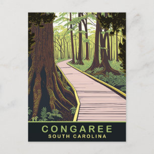 Cartão Postal Congaree National Park Carolina do Sul, Viagem