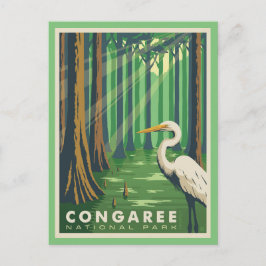 Cartão Postal Congaree National Park SC Postcard