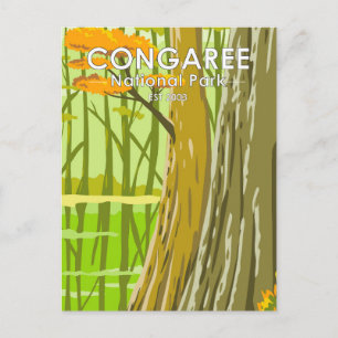 Cartão Postal Congaree National Park South Carolina Art Vintage