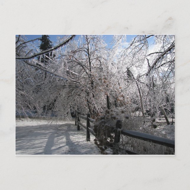 Cartão Postal Congelado (Frente)