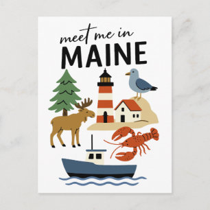 Cartão Postal Conheça-me no Maine Fauna da Nova Inglaterra Coste