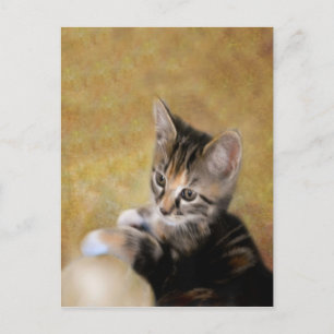 Cartão Postal Conheça Tiger