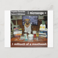 Conhecimento Cachorro Conversões Esquecidas Micros