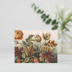 Cartão Postal Conjunto de Arte Floral Outono Vintage, Botânica d