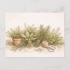 Cartão Postal Conjunto de Ervas Rústicas Pintura Botânica em Aqu