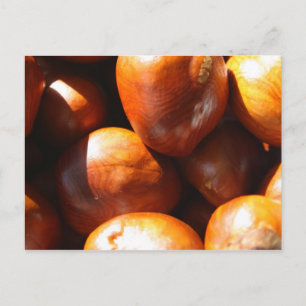 Cartão Postal Conkers