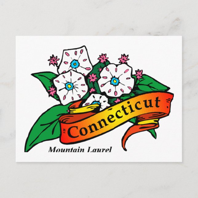 Cartão Postal Connecticut Mountain Laurel (Frente)