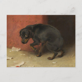 Cartão Postal Consciência Faz Borricas De Todos Nós