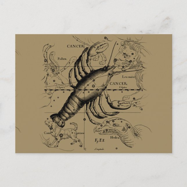 Cartão Postal Constelação de cancer Hevelius 1690 Engave (Frente)