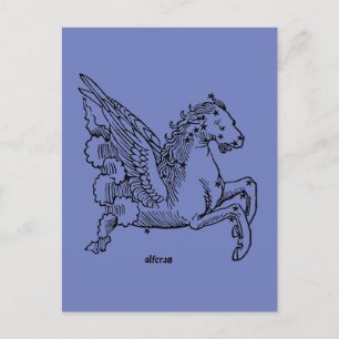 Cartão Postal Constelação: Pegasus