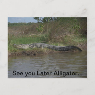 Cartão Postal Consulte Você Mais Tarde Alligator