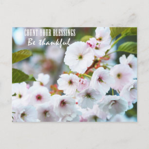 Cartão Postal Conte suas bênçãos
