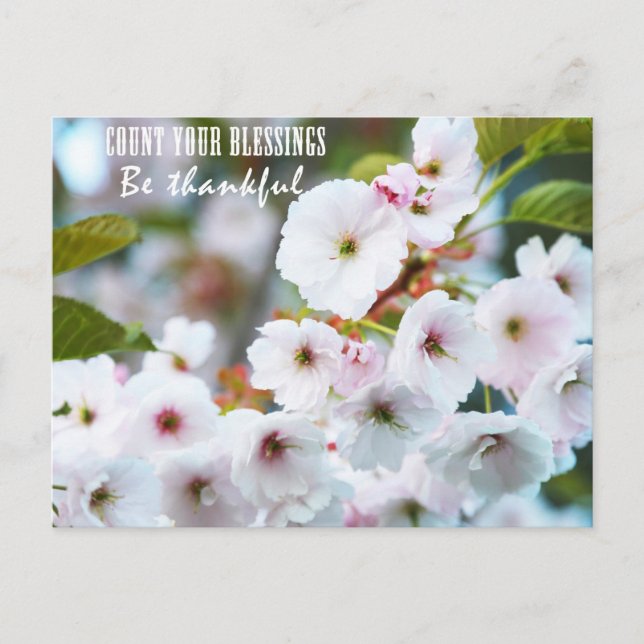 Cartão Postal Conte suas bênçãos (Frente)