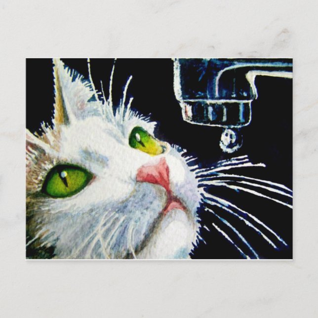 Cartão Postal Contemplação (Frente)