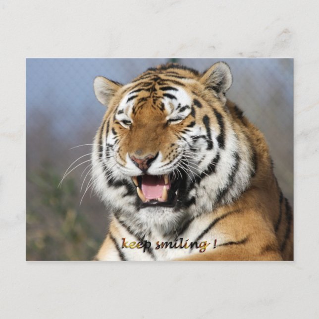 Cartão Postal continue sorrindo (Frente)